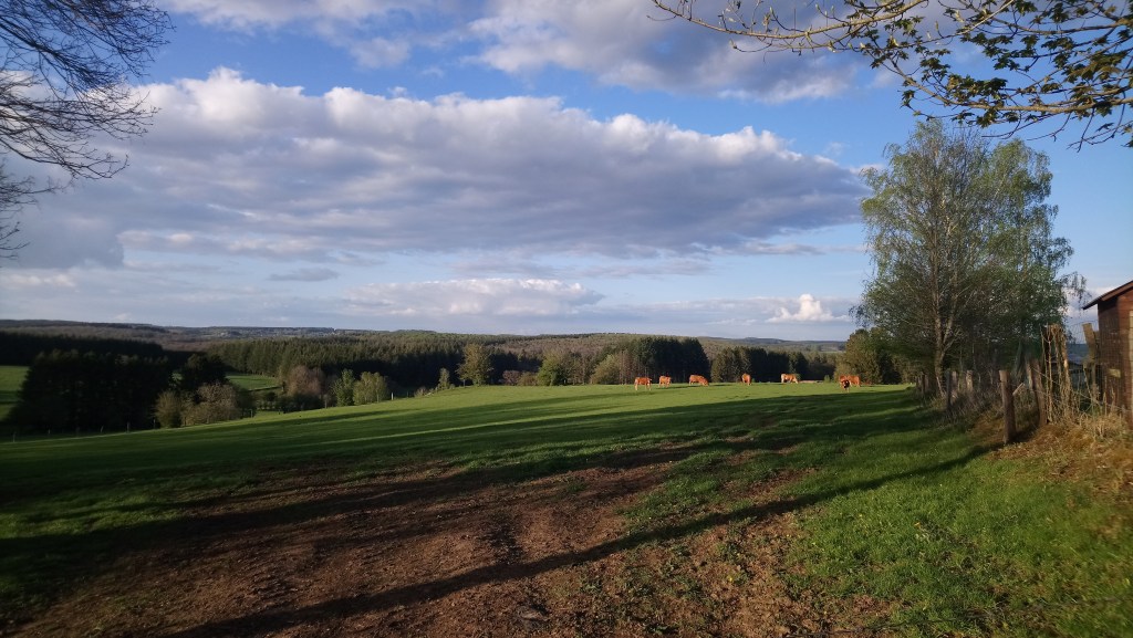 A tour of Belgium in pandemic holidays 2021 (part&nbsp;1)